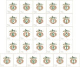 BX format 3 inch Autumn Letter T1868