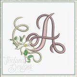 A MAGNOLIA Letter T2023
