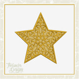 T1588 FSL Star