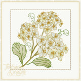 T1855 Bridal Wreath