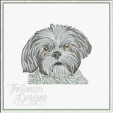 T1977 Shih Tzu Dog Sketch