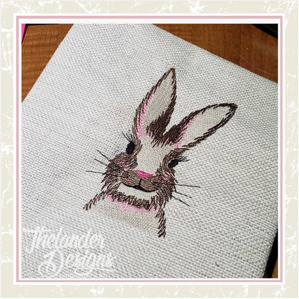 T1753 Sketch Bunny