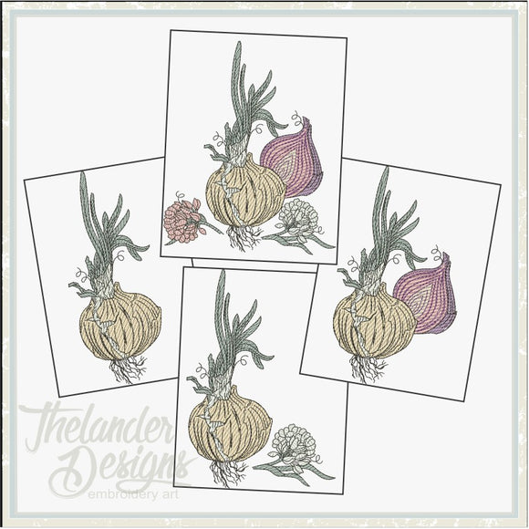 T1940 Onion Sketch Bundle